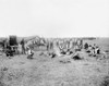 Cowboys, C1905. /Na Group Of Cowboys Eating Breakfast Around The Chuckwagon With A Herd Of Horses In The Background On The Great Plains. Photograph, C1905. Poster Print by Granger Collection - Item # VARGRC0125531