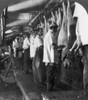 Chicago: Meatpacking. /Nmen Working At The Hog Scraping Rail At The Armour And Company Meatpacking House In Chicago, Illinois. Stereograph, C1909. Poster Print by Granger Collection - Item # VARGRC0117118