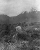 Machu Picchu, 1916. /Na Not-Yet-Cleared Section Of The Ruins Of The Inca City At Machu Picchu, Peru, Photographed In 1916. Poster Print by Granger Collection - Item # VARGRC0126067