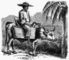 Santo Domingo: Steed, 1871./N'The Dominican And His Steed.' Wood Engraving, American, 1871. Poster Print by Granger Collection - Item # VARGRC0095410