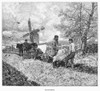 Canada: Farming, 1883. /Nfarmers Plowing A Field In Rural Canada. Engraving, 1883. Poster Print by Granger Collection - Item # VARGRC0094416