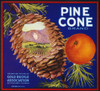 Crate Label, 20Th Century. /Nfor Pine Cone Brand Oranges From California. Poster Print by Granger Collection - Item # VARGRC0049683