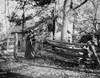 Minnesota: Cabin, C1900. /Na Woman Outside A Log Cabin In Minnesota. Photograph, C1900. Poster Print by Granger Collection - Item # VARGRC0186455