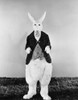 Alice In Wonderland, 1933. /Nwhite Rabbit. Poster Print by Granger Collection - Item # VARGRC0075087