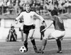 Roland Hattenberger /N(1948-). Austrian Soccer Player. Photographed During A World Cup Qualifying Game Against East Germany, 1977. Poster Print by Granger Collection - Item # VARGRC0131483