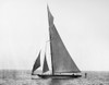 Yacht: Shamrock Iv, 1920. /Nthe British Racing Yacht, 'Shamrock Iv.' Photograph, June 1920. Poster Print by Granger Collection - Item # VARGRC0129683 Yacht: Shamrock Iv, 1920. /Nthe British Racing Yacht, 'Shamrock Iv.' Photograph, June 1920. Poster Print by Granger Collection - Item # VARGRC0129683