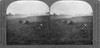 World War I: Training. /Namerican Troops Participating In A Machine Gun Drill In France, During World War I. Stereograph, C1917. Poster Print by Granger Collection - Item # VARGRC0325494