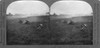 World War I: Training. /Namerican Troops Participating In A Machine Gun Drill In France, During World War I. Stereograph, C1917. Poster Print by Granger Collection - Item # VARGRC0325494 World War I: Training. /Namerican Troops Participating In A Machine Gun Drill In France, During World War I. Stereograph, C1917. Poster Print by Granger Collection - Item # VARGRC0325494