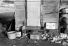 Iowa: Shantytown, 1936. /Nbackyard Of Shack In A Shantytown In Spencer, Iowa. Photograph By Russell Lee, December 1936. Poster Print by Granger Collection - Item # VARGRC0121643