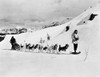 Dog Sled. /Nmotion Picture Still. Poster Print by Granger Collection - Item # VARGRC0051836