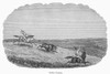Buffalo Hunt. /Ngreat Plains Native Americans Hunting Buffalo. 19Th Century Wood Engraving. Poster Print by Granger Collection - Item # VARGRC0096225