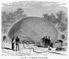 Inflation Of A Balloon. /Ninflation Of A Hot Air Balloon, 19Th Century French Engraving. Poster Print by Granger Collection - Item # VARGRC0091072
