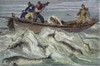 Fishing For Narwhals. /Nline Engraving, 19Th Century. Poster Print by Granger Collection - Item # VARGRC0047057