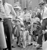 Nyc: Penn Station, 1942. /Npassengers Waiting For Their Train At Penn Station In New York City. Photograph By Marjory Collins, 1942. Poster Print by Granger Collection - Item # VARGRC0351603