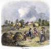Making Hay, C1855. /Nfarm Workers Making Hay. Wood Engraving, American, C1855. Poster Print by Granger Collection - Item # VARGRC0103051