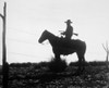 The Cowboy, 1954. /Na Scene From The 1954 Film, 'The Cowboy.' Poster Print by Granger Collection - Item # VARGRC0001782