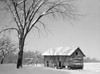New York: Cabin, 1937. /Nan Abandoned Log Cabin In Oswego County, New York. Photograph By Arthur Rothstein, 1937. Poster Print by Granger Collection - Item # VARGRC0326729
