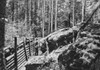 World War I: German Trench. /Ngerman Trenches In The Vosges Mountains In France During World War I. Photograph, 1914-1918. Poster Print by Granger Collection - Item # VARGRC0407824