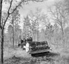 Florida: Land Use, 1937. /Na Tractor Clearing Brush To Prepare The Ground For Seed Planting, Fire Trails, And Road Building In Withlacoochee, Florida. Photograph By Arthur Rothstein, 1937. Poster Print by Granger Collection - Item # VARGRC0526412