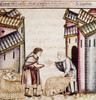 Spain: Medieval Shepherd. /Na Shepherd Receives Pay For Selling One Of His Flock. Manuscript Illumination, 13Th Century, From The 'Cantigas De Alfonso X.' Poster Print by Granger Collection - Item # VARGRC0104870