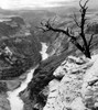 Grand Canyon, 1958. /Nstill From The Documentary Film 'Grand Canyon,' 1958. Poster Print by Granger Collection - Item # VARGRC0096920