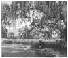 New Orleans: City Park. /Ncity Park And The Old Dueling Ground At New Orleans, Louisiana. Wood Engraving, 1887. Poster Print by Granger Collection - Item # VARGRC0092087