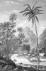 Tahiti, 1831. /Netching And Engraving, English, 1831. Poster Print by Granger Collection - Item # VARGRC0046484