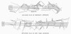 Map: Brooklyn Bridge. /Nmap Of The Approaches To The Brooklyn Bridge On Both The Brooklyn (Top) And Manhattan Sides. Poster Print by Granger Collection - Item # VARGRC0091130