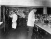 Washington, D.C.: Pharmacy. /Npharmacists At People'S Drug Store On 7Th And E Streets In Washington, D.C. Photograph, C1920. Poster Print by Granger Collection - Item # VARGRC0325836