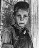 Farm Boy, 1937. /Ntwelve Year-Old Son Of A Cotton Sharecropper Near Cleveland, Mississippi. Photograph By Dorothea Lange, June 1937. Poster Print by Granger Collection - Item # VARGRC0123785