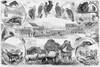 Central Park Zoo, 1866. /N'Zoological Garden, Central Park, N.Y.' Engraving, 1866. Poster Print by Granger Collection - Item # VARGRC0265967