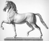 Canova: Horse. /Nmodel Of A Colossal Horse By Antonio Canova (1757-1822). Steel Engraving, 19Th Century. Poster Print by Granger Collection - Item # VARGRC0045821 Canova: Horse. /Nmodel Of A Colossal Horse By Antonio Canova (1757-1822). Steel Engraving, 19Th Century. Poster Print by Granger Collection - Item # VARGRC0045821
