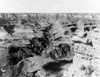 Grand Canyon, C1902. /Na View Of Bright Angel Canyon, A Tributary Of The Grand Canyon In Arizona. Photographed C1902. Poster Print by Granger Collection - Item # VARGRC0128888