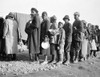 Flood Refugees, 1937. /Npeople Waiting In A Food Line At A Flood Refugee Camp In Forrest City, Arkansas. Photograph By Walker Evans, February 1937. Poster Print by Granger Collection - Item # VARGRC0323291