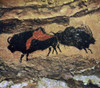 Cave Art: Bison. /Nbison From The Nave At Lascaux, Dordogne, France, 7 Feet And 10.5 Inches. Style Iii (C15,000 B.C.). Poster Print by Granger Collection - Item # VARGRC0006013