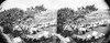 Civil War: Union Camp. /Nunion Camp Viewed From A Tree In Cumberland Landing, Virginia. Photograph, 1862. Poster Print by Granger Collection - Item # VARGRC0409296