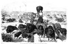 West: Shooting Buffalo. /Nthe Far West: Shooting Buffalo On The Line Of The Kansas-Pacific Railroad. Wood Engraving, American, 1871. Poster Print by Granger Collection - Item # VARGRC0035332