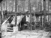 Civil War: Quarters, 1864. /Nsummer Quarters In Petersburg, Virginia. Photograph, 1864. Poster Print by Granger Collection - Item # VARGRC0409219