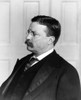 Theodore Roosevelt /N(1858-1919). 26Th President Of The United States. Photograph, 1904. Poster Print by Granger Collection - Item # VARGRC0174631
