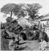 China: Peking, C1901. /Nmen Gathered With Their Camels In The 'Camel Square' In Peking, China. Stereograph, C1901. Poster Print by Granger Collection - Item # VARGRC0116778