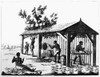 Tobacco Plantation. /Nnative Caribbean Men Curing Tobacco Leaves And Winding Them Into Rope. Drawing, 19Th Century. Poster Print by Granger Collection - Item # VARGRC0183557