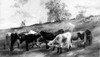 Reaugh: Cattle. /Nlonghorn Cattle Grazing In Texas. Pastel, C1890, By Frank Reaugh. Poster Print by Granger Collection - Item # VARGRC0184075