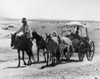 Navajo Carriage. /Na Navajo Man Leading A Horse-Drawn Carriage On A Reservation In The Southwestern United States. Photographed Circa 1920S. Poster Print by Granger Collection - Item # VARGRC0173490