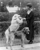 Grace Anna Coolidge /N(1879-1957). Wife Of President Calvin Coolidge, Playing With Two Dogs. Photograph, 1924. Poster Print by Granger Collection - Item # VARGRC0128498