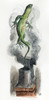 Carroll: Alice, 1865. /Nalice Kicks Bill Up The Chimney: After The Design By Sir John Tenniel For The First Edition Of Lewis Carroll'S 'Alice'S Adventures In Wonderland'. Poster Print by Granger Collection - Item # VARGRC0046648