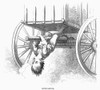 Boy Riding Under Wagon. /N'Gymnastics.' Wood Engraving, American, 1876, After David Hunter Strother (Known As Porte Crayon). Poster Print by Granger Collection - Item # VARGRC0093515