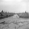 Illinois: Tent City, 1937. /Ntent City For Flood Refugees Near Shawneetown, Illinois. Photograph By Russell Lee, April 1937. Poster Print by Granger Collection - Item # VARGRC0323379