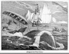 Whaling, 1833. /Na Whaling Crew Capsized By A Whale In The Arctic. Wood Engraving, English, 1833. Poster Print by Granger Collection - Item # VARGRC0005451