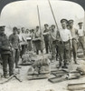 World War I: Bakers. /Nbritish Troops Baking Bread For Soldiers At The Front Lines During World War I. Stereograph, 1914-1918. Poster Print by Granger Collection - Item # VARGRC0325966