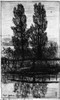 Germany: Poplars. /Npoplars In The Royal Garden At Schleissheim Palace, Near Munich, Germany. Etching, 1879, By Otto H. Bacher. Poster Print by Granger Collection - Item # VARGRC0165848 Germany: Poplars. /Npoplars In The Royal Garden At Schleissheim Palace, Near Munich, Germany. Etching, 1879, By Otto H. Bacher. Poster Print by Granger Collection - Item # VARGRC0165848